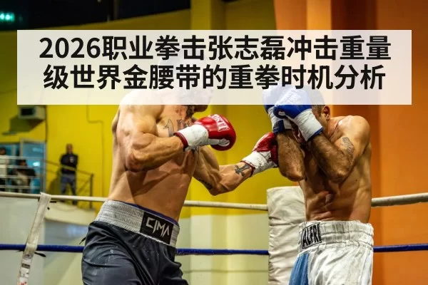 2026职业拳击张志磊冲击重量级世界金腰带的重拳时机分析